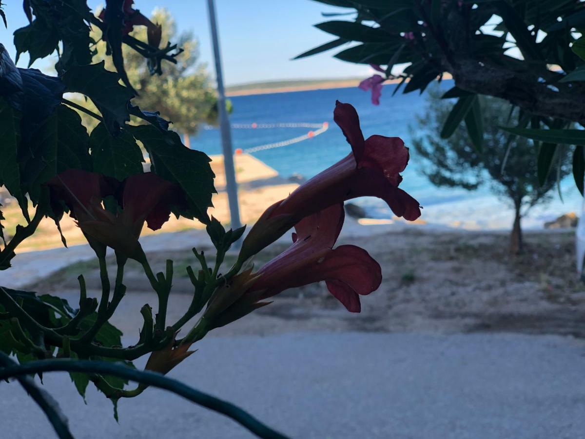 Croatia Mandre Διαμέρισμα Εξωτερικό φωτογραφία